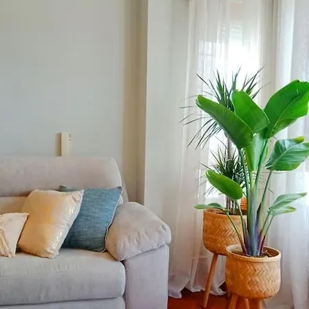 Apartment Leones Viveiro